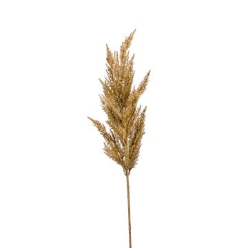 Deko Zweig Pampasgras Rispe BATERNO, hellbraun, 90cm