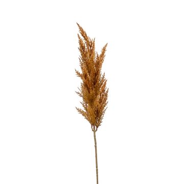 Deko Zweig Pampasgras Rispe BATERNO, braun, 90cm