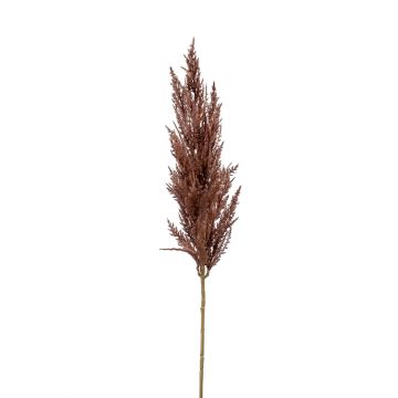 Deko Zweig Pampasgras Rispe BATERNO, dunkelbraun, 90cm