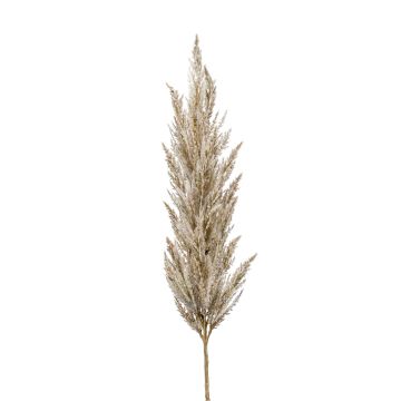 Deko Zweig Pampasgras Rispe BATERNO, creme, 115cm