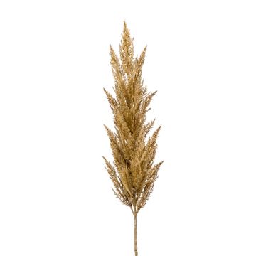 Deko Zweig Pampasgras Rispe BATERNO, hellbraun, 115cm