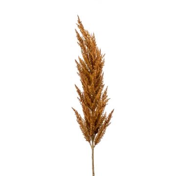 Deko Zweig Pampasgras Rispe BATERNO, braun, 115cm