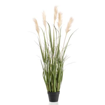 Künstliches Pampasgras ALCANTARA mit Rispen, grün, 130cm