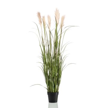 Künstliches Pampasgras ALCANTARA mit Rispen, grün, 160cm