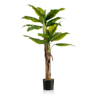 Plastik Bananenbaum Duo ENTRIN, 140cm