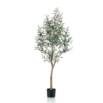 Künstlicher Olivenbaum CLAYTON, Kunststamm, mit Früchten, 140cm