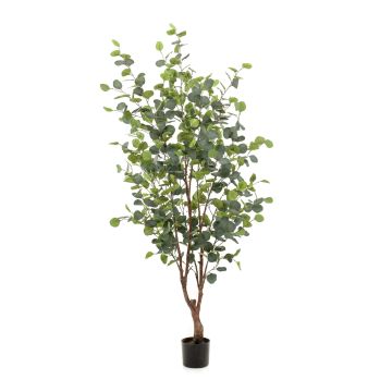 Kunstbaum Eukalyptus ANUHEA, Kunststamm, grün-grau, 140cm