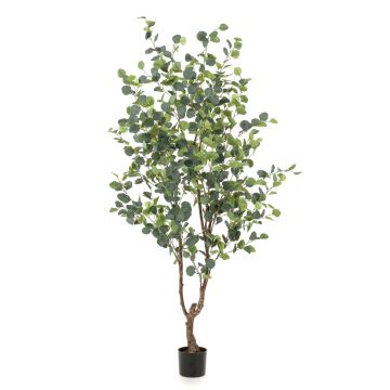 Kunstbaum Eukalyptus ANUHEA, Kunststamm, grün-grau, 180cm