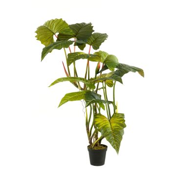 Kunstpflanze Colocasia SOTU, grün, 175cm