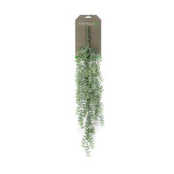 Kunst Sukkulente Rhipsalis Hänger TUREIS, Steckstab, grün-grau, 70cm
