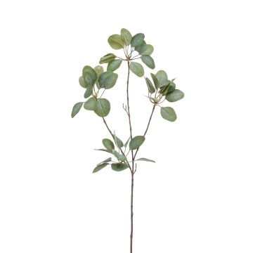 Unechter Eukalyptus KRISZTOFER, grün, 90cm