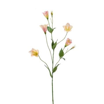 Künstlicher Lisianthus PAZAN, rosa-creme, 70cm, Ø3-5cm