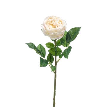 Dekoblume Kohl-Rose CATINCA, creme, 60cm, Ø9cm