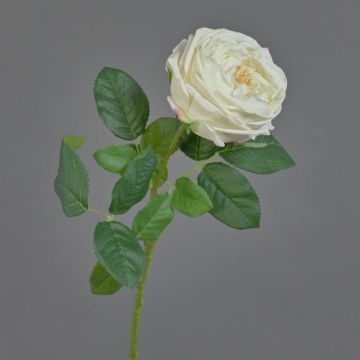 Fake Rose Kohl-Rose CATINCA, creme, 60cm, Ø9cm
