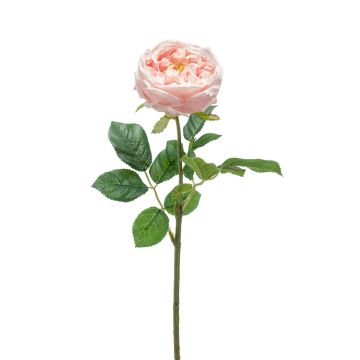 Dekoblume Kohl-Rose CATINCA, zartrosa, 60cmm, Ø9cm
