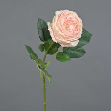 Fake Rose Kohl-Rose CATINCA, zartrosa, 60cm, Ø9cm