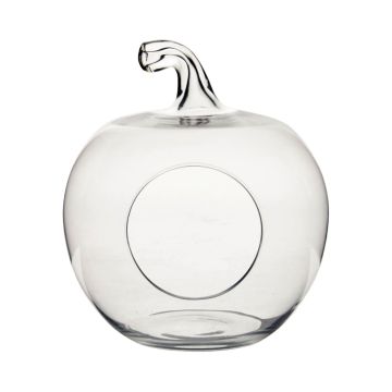 Terrarium Glas TISOA in Apfelform, klar, 23cm, Ø21cm
