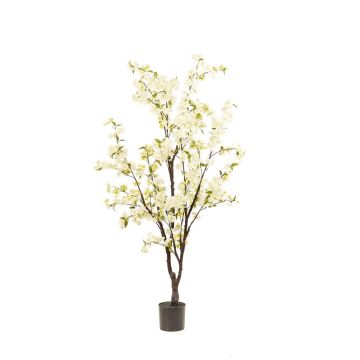 Künstlicher Kirschblüten Baum JANKFUN mit Blüten, Kunststamm, weiß, 175cm