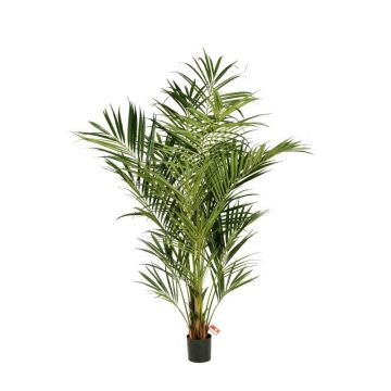 Kunstpalme Kentia OMAYRA, schwer entflammbar, 225cm