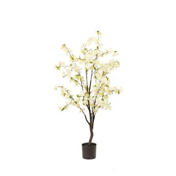 Künstlicher Kirschblüten Baum JANKFUN mit Blüten, Kunststamm, weiß, 135cm