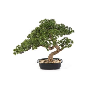 Künstliche Bonsai Pinie KANYA in Pflanzschale, 45cm