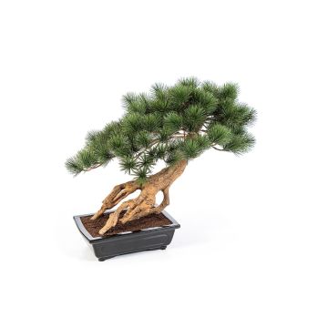 Künstliche Bonsai Pinie SARINU in Pflanzschale, 55cm