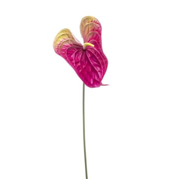 Flamingoblume künstlich MAXLER, pink-gelb, 70cm, 14x19cm