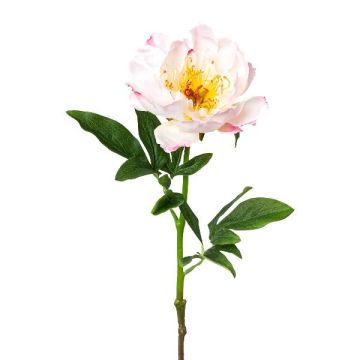 Plastikblume Pfingstrose PEFIN, rosa, 50cm