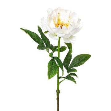 Plastikblume Pfingstrose PEFIN, weiß, 50cm
