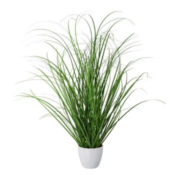 Deko Gras Lampenputzergras KIVRA im Dekotopf, grün, 50cm