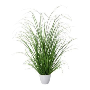 Deko Gras Lampenputzergras KIVRA im Dekotopf, grün, 60cm
