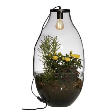 Glas Pflanzen Terrarium PALITA mit Beleuchtung, klar, 64cm, Ø34cm