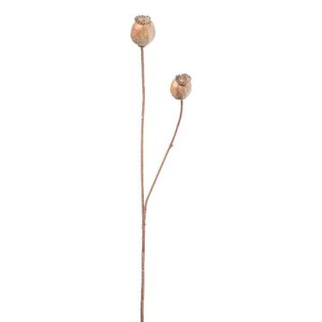 Kunstzweig Mohnkapseln ORIONLA, hellbraun, 65cm, Ø3,5-4cm