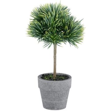 Zeder künstlich REKNY, Kunststamm, Dekotopf, grün, 19cm