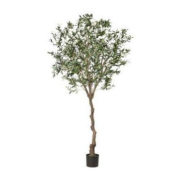 Deko Baum Olivenbaum WILDO, Kunststamm, Früchte, 240cm