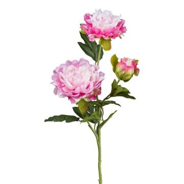 Künstlicher Zweig Pfingstrose SLORMEK, rosa-weiß, 65cm