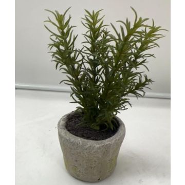 Künstliche Kräuter Rosmarin POLINDA im Dekotopf, grün, 26cm
