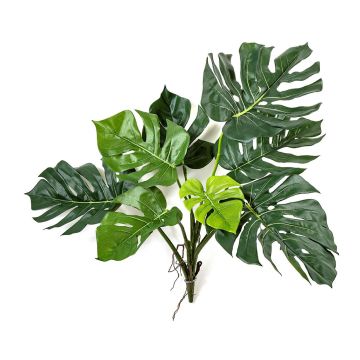 Deko Philodendron Monstera Deliciosa CYDEN, grün, 75cm