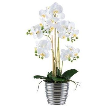 Textil Phalaenopsis Orchidee VORDLIN, Keramiktopf silber, Wurzeln, weiß, 60cm