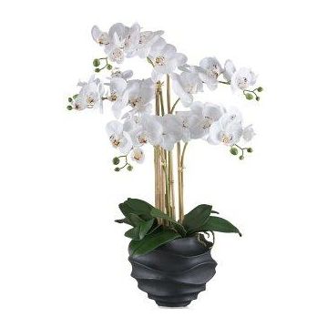 Textil Phalaenopsis Orchidee STONFER, Dekotopf schwarz, Wurzeln, weiß, 70cm
