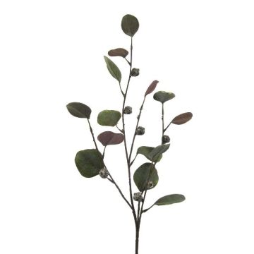 Kunstzweig Eukalyptus TRAVON mit Früchten, grün, 75cm