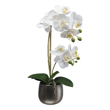 Kunst Phalaenopsis Orchidee MERMAY, Keramiktopf, Wurzeln, weiß, 50cm