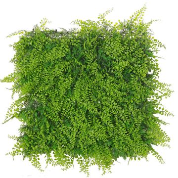 Deko Farn Zypresse Hecke / Matte DIANTA, crossdoor, 50x50cm