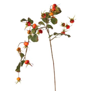 Deko Apfel-Rosen Zweig FILONAS mit Hagebutten, orange-rot, 105cm