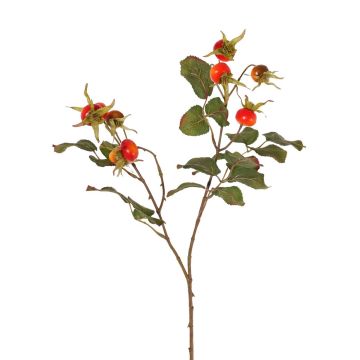 Deko Apfel-Rosen Zweig FILONAS mit Hagebutten, orange-rot, 60cm