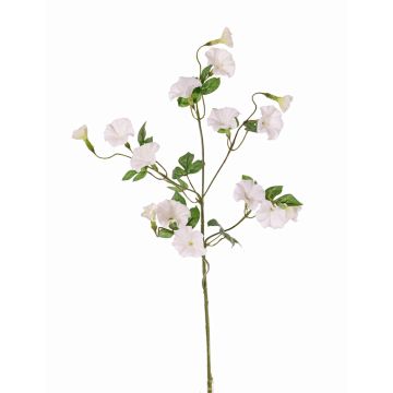 Kunststoff Trichterwinde IORDANIS, weiß, 80cm, Ø3-5,5cm