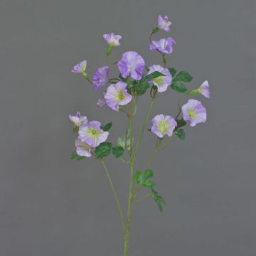 Kunststoff Trichterwinde IORDANIS, lila-grün, 80cm, Ø3-5,5cm