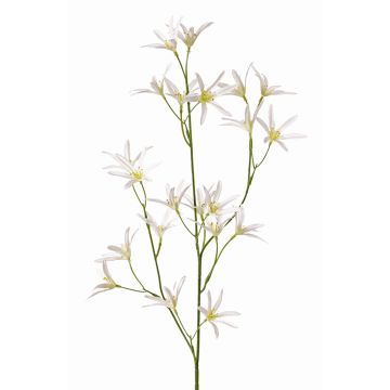 Deko Blumen Zweig Tweedia solanoides PALLAS, weiß, 70cm, Ø5cm
