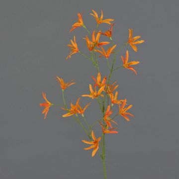 Deko Blumen Zweig Tweedia solanoides PALLAS, orange, 70cm, Ø5cm