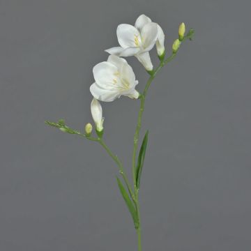 Deko Blume Freesie MARUSHA, weiß, 70cm, Ø6cm